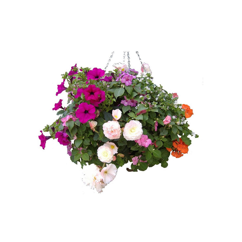 Plantopia/Easy FIll Hanging Basket 12″ Black or Green